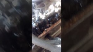 стреляет в карбюратор и глушитель газель 402 4 причины