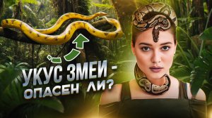 Что будет если укусит ядовитая змея?