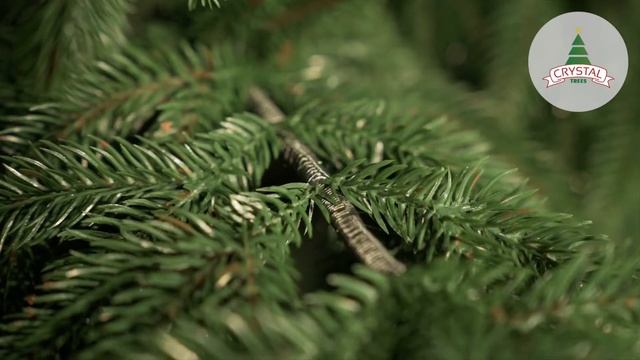 CRYSTAL TREES | Обзор | Ель 