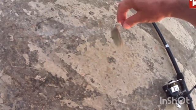 Рыбалка на чёрном море с пирса Небуг Пляж санатория Прометей Ставридка смотреть онлайн