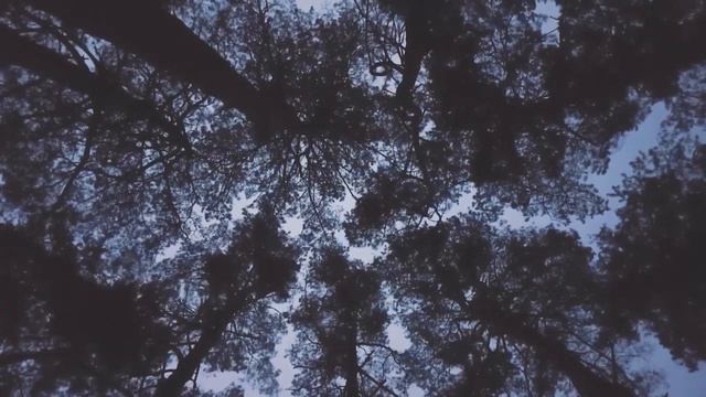 Истории на ночь: Мертвый путь смотреть онлайн