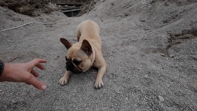 Ленточный фундамент для дома | Технология заливки фундамента в Крыму