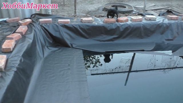 Сделали БАССЕЙН своими руками для кувшинок ХоббиМаркет смотреть онлайн