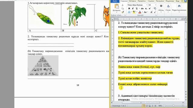 Жаратылыстану 6 сынып БЖБ 1 3-тоқсан / 6 сынып жаратылыстану БЖБ 1 3-тоқсан смотреть онлайн