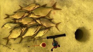 ЛЕЩ НА ПОДЛЕДНЫЙ ФИДЕР ПОДВОДНАЯ СЪЕМКА