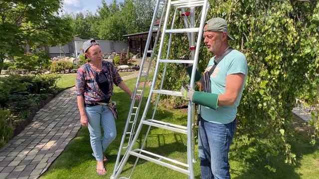 Лестницы Хасегава