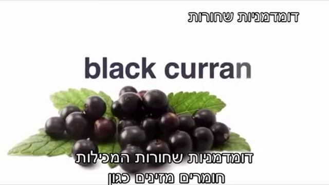 ARGI+ + HEB subs смотреть онлайн