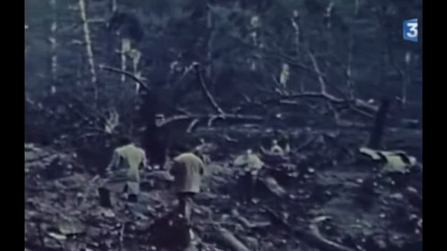 The Ermenonville Disaster - Turkish DC10 Crash 1974 смотреть онлайн