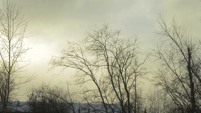 Мороз и выглянуло солнце. Третья декада ноября 2023