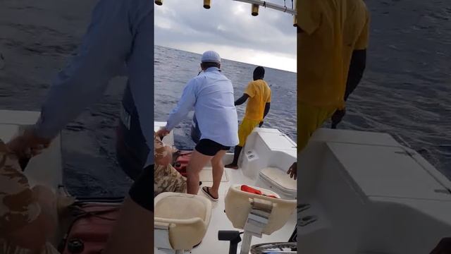 #Рыбалка на Занзибаре смотреть онлайн