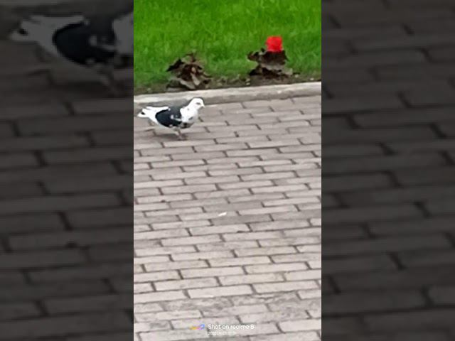 1 июня 2022 г. смотреть онлайн