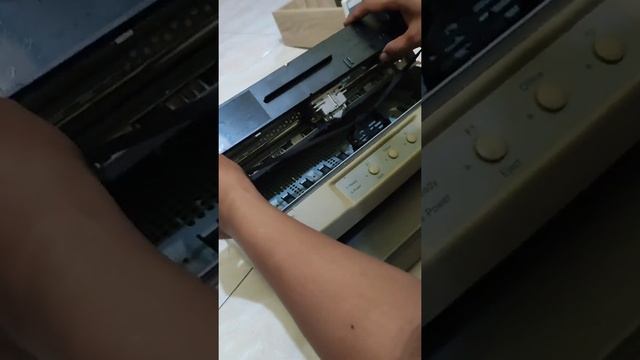 Service Passbook Epson PLQ-20 | Hasil putus-putus!!! смотреть онлайн