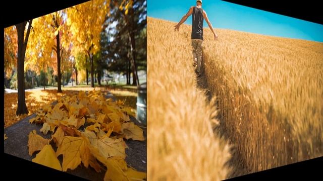 28 сентября 2021 года - прогноз дня - благоприятный день для любых действий смотреть онлайн