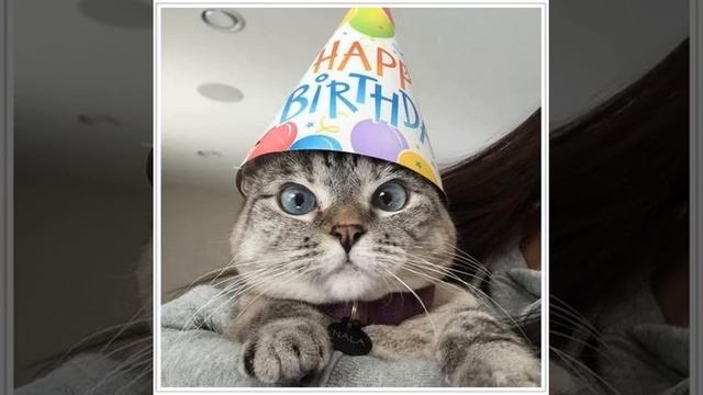 С днем рождения, Ева! Музыкальная открытка со стихами. смотреть онлайн