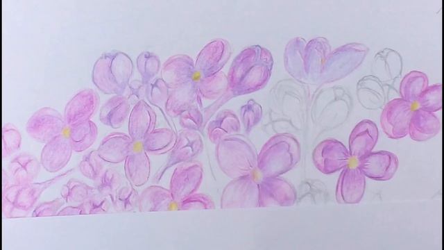 Веточка сирени карандашами// Sprig of lilac with pencils// Speed drawing смотреть онлайн