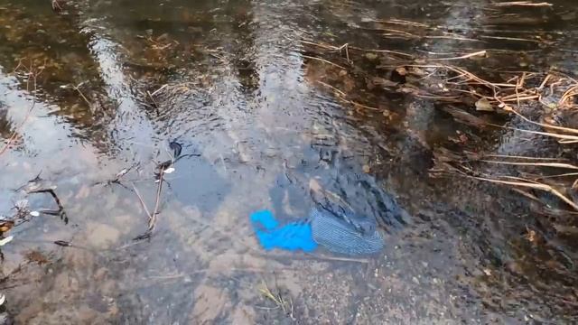 Лесная изба - 6 сезон | Таёжный быт | 19 дней в тайге