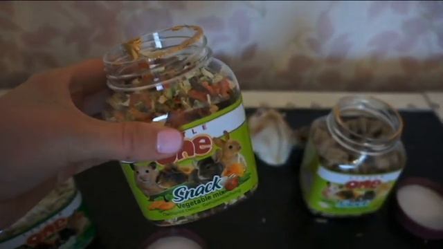 Чем кормить хомячка кемпбелла? / Чем питаются хомячки? смотреть онлайн