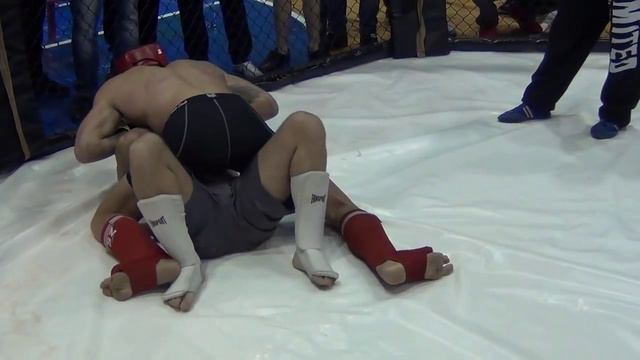 06 25 10 2014 TFC2 AMMA C+93 Dimitar Tasev Bully Team VS Tomas Stoimenov Pitbuls Bokido смотреть онлайн