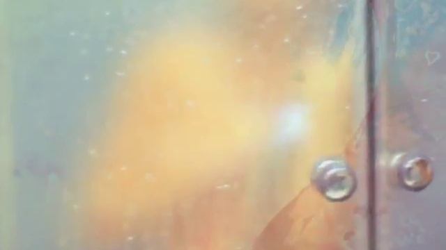 Юлия Савичева и Лина-День рождения смотреть онлайн