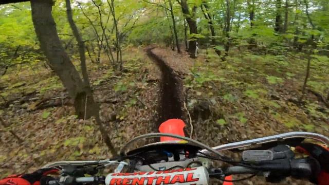 Тренировка перед Духовым Лесом 2021 смотреть онлайн