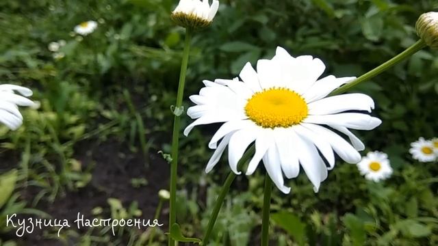 10 апреля Великий Понедельник. Что нельзя делать 10 апреля. Народные традиции и приметы. смотреть онлайн