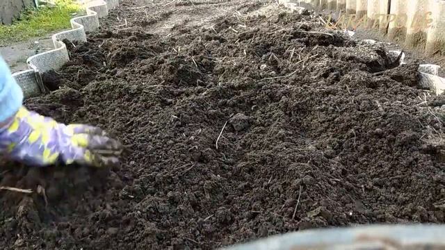 Посадка ЧЕСНОКА в ОКТЯБРЕ. 2 поколения в ОДНОЙ грядке. Урожай на ура!!! смотреть онлайн