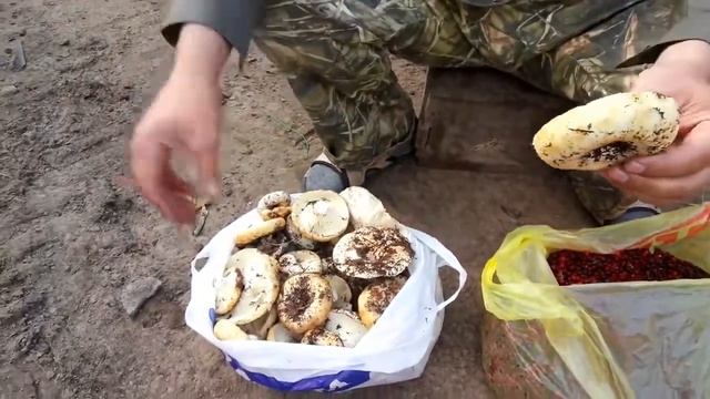 Добро пожаловать или посторониим вход воспрещён!Ягоды и грибы? Нет ещё нету!!!! смотреть онлайн