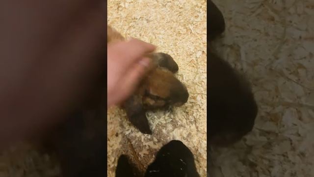 Музей рыб, акул, животных(4) смотреть онлайн