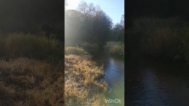 минск х250 езда по реке. m1nsk x250 по воде. #минск#эндуро#покатушки смотреть онлайн