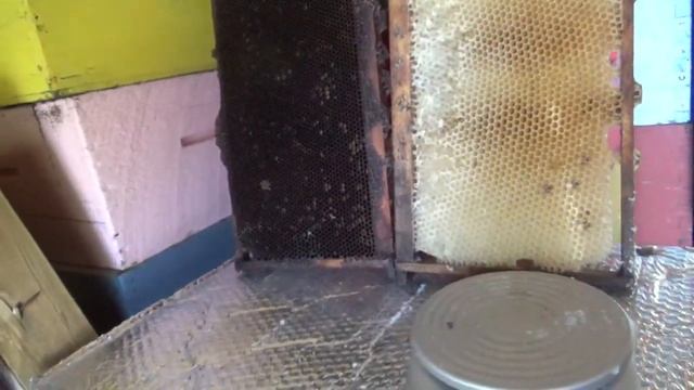 Сколько весит рамка пчеловода и сколько весит рамка промышленника. смотреть онлайн