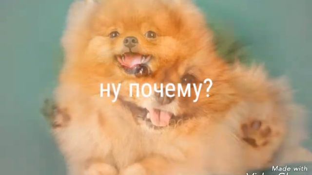 Я ХОЧУ СОБАКУ 😭 смотреть онлайн