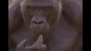 КУЛЬТ ВОЗДЕРЖАНИЯ. Ошибка трендов ютуба (Мартин, GLEB GLEBOV, Стэфан и др.)