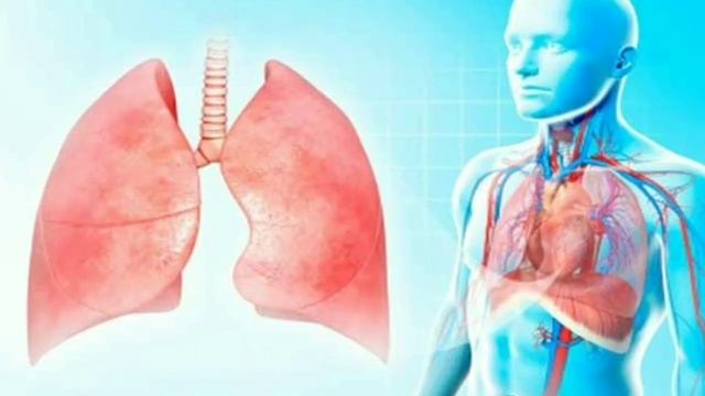 सांस लेते है तो जानलो यह जरूरी बाते | Breathing importance in hindi | Breathing system | Respirator смотреть онлайн