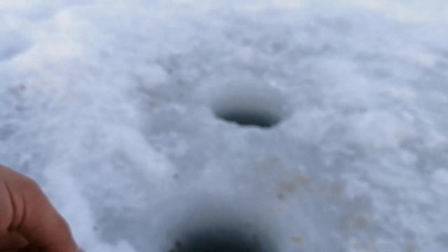 Рыбалка в ЗАПОВЕДНИКЕ. Озеро Исей. Казахстан смотреть онлайн