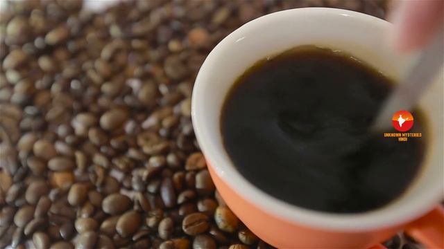 इंडोनेशिया के इस वीडियो को एक बार जरूर देखे // Amazing Facts About Indonesia in Hindi смотреть онлайн