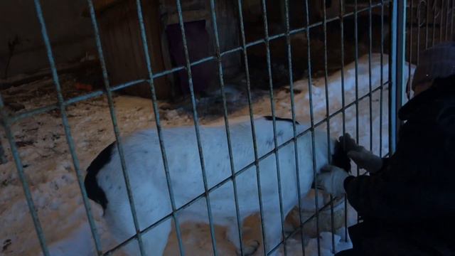 ласка творит чудеса