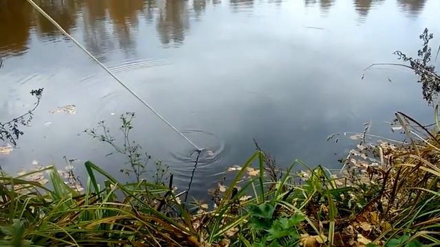 Поисковый магнит своими руками смотреть онлайн