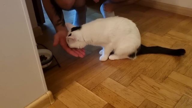 КУПИЛИ ПОДАРОК ДЛЯ РОДИ??В ВОСТОРГЕ ОТ НОВОЙ ФОРМЫ?? смотреть онлайн