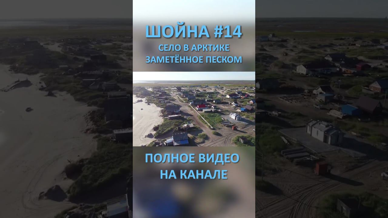 ШОЙНА SHOYNA 14 SHORTS #SHORTS смотреть онлайн