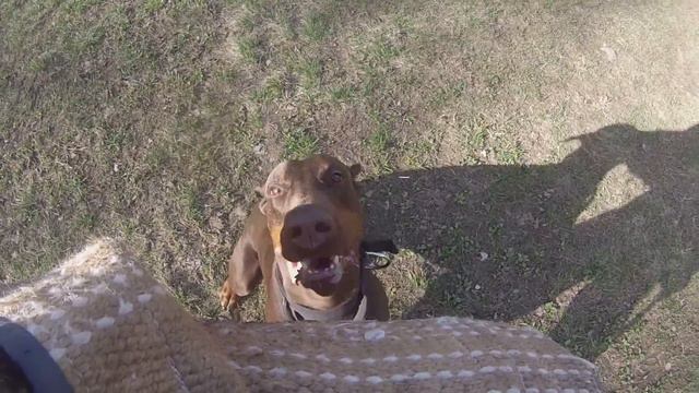 ЗКС GoPro смотреть онлайн