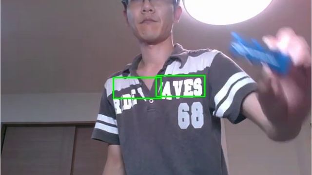 OpenVINO + OpenCV Text Detection (EAST text detector) FP16 + x86 CPU only смотреть онлайн