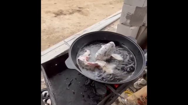 Готовим сазана смотреть онлайн