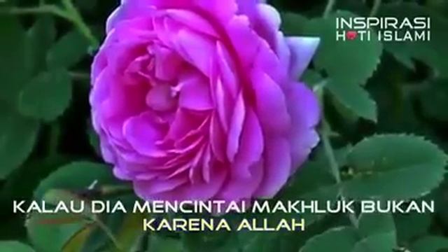 Ust Tengku Hana Attaki Lc Mungkin Dia Jodohku смотреть онлайн