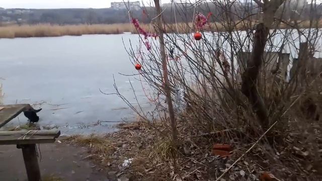 Славянск. 29 декабря 2022г. Утро смотреть онлайн