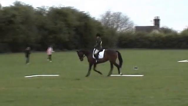 Nurstead Court - PN - Dressage 27/04/2008 смотреть онлайн