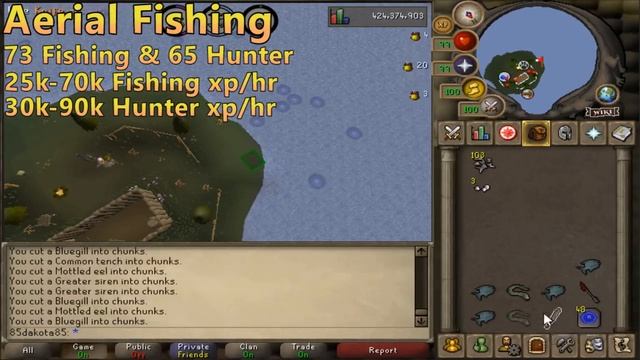 OSRS 1-99 Fishing Guide | Updated Old School Runescape Fishing Guide смотреть онлайн