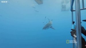 Удивительные Факты об ОКЕАНЕ. Что Кроется в Глубинах Океана