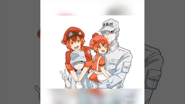 [HB] White cell x Red cell?❤?? смотреть онлайн