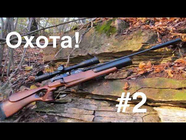 Охота на воробьев! Контрольная зачистка!