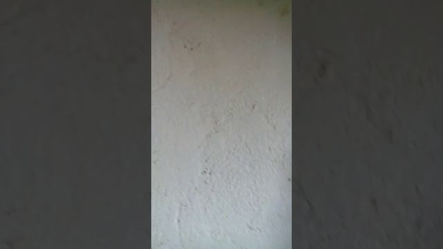 дом из соломы. домик74 смотреть онлайн